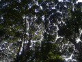 Tn 0209 DSC 5514